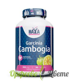 ХРАНИТЕЛНИ ДОБАВКИ Висок холестерол HAYA LABS Гарциния Камбоджа 500 мг*90/  Garcinia Cambogia 500 mg * 90 Caps 