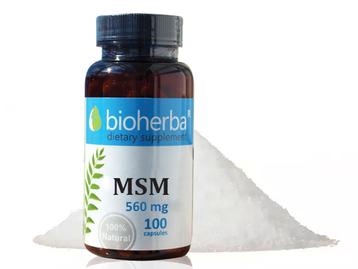 БИОХЕРБА МСМ капсули 560 мг *100 / BIOHERBA MSM 560 mg * 100 capsules/ 