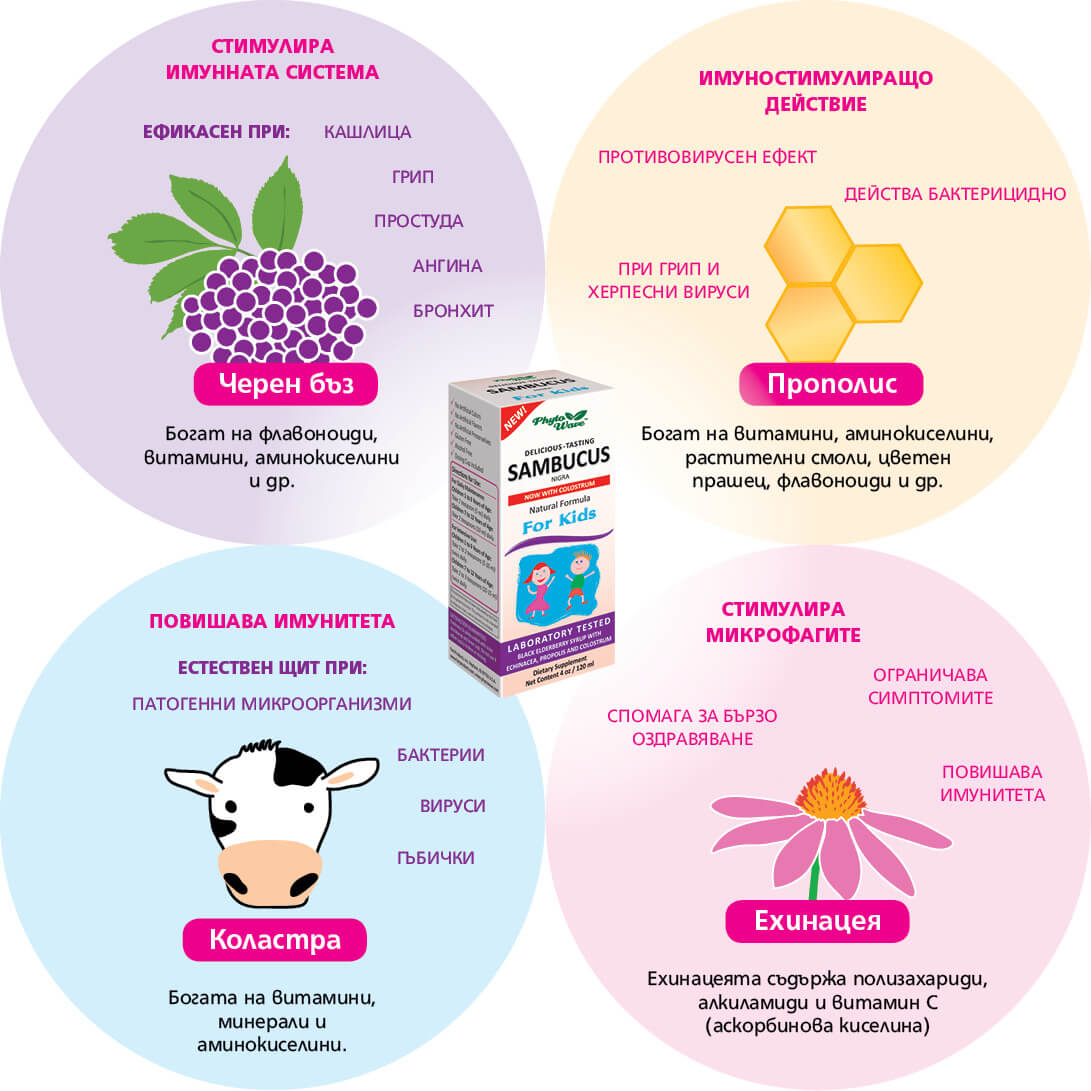 САМБУКУС НИГРА ЗА ДЕЦА 120 мл Sambucus nigra Phyto Wave, ХРАНИТЕЛНИ .