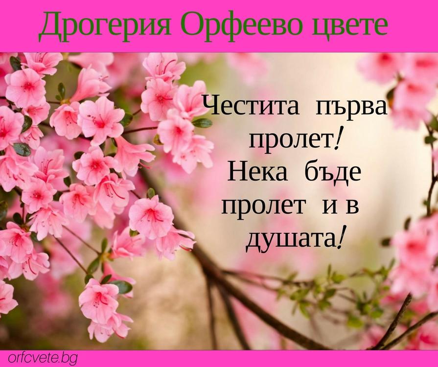 Честита Първа Пролет | Дрогерия Орфеево Цвете - билкова аптека Варна