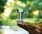 Какво да знаем за задържането на вода и кои билки действат отводняващо