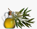 77 приложения на маслото от чаено дърво