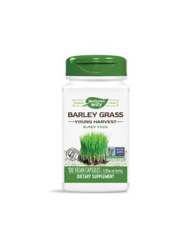 Barley Grass/ Ечемик (млади стръкове) 500 mg х 100 капсули