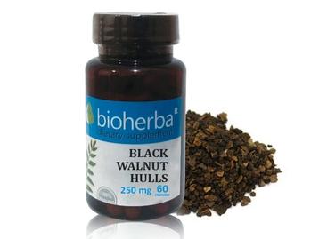 БИОХЕРБА ЧЕРЕН ОРЕХ 250 мг *60 капсули/ Bioherba black walnut hulls 250 mg* 60 capsules