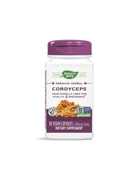 Cordyceps/ Кордицепс 500 mg х 60 капсули